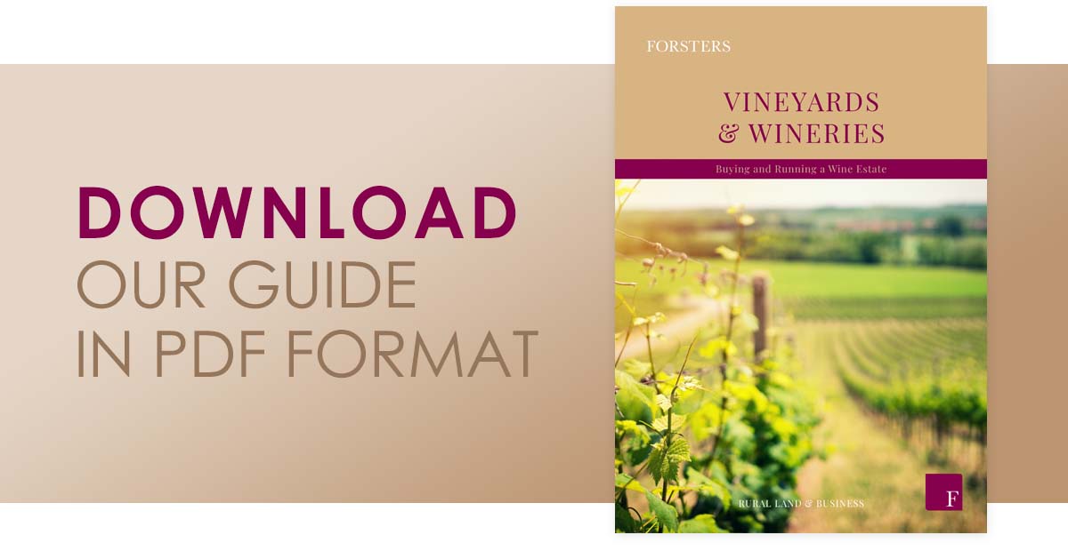 Download our guide in PDF format