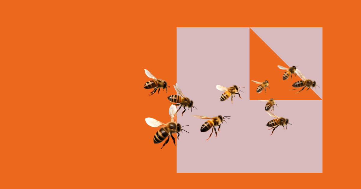 Swarm of bees flying