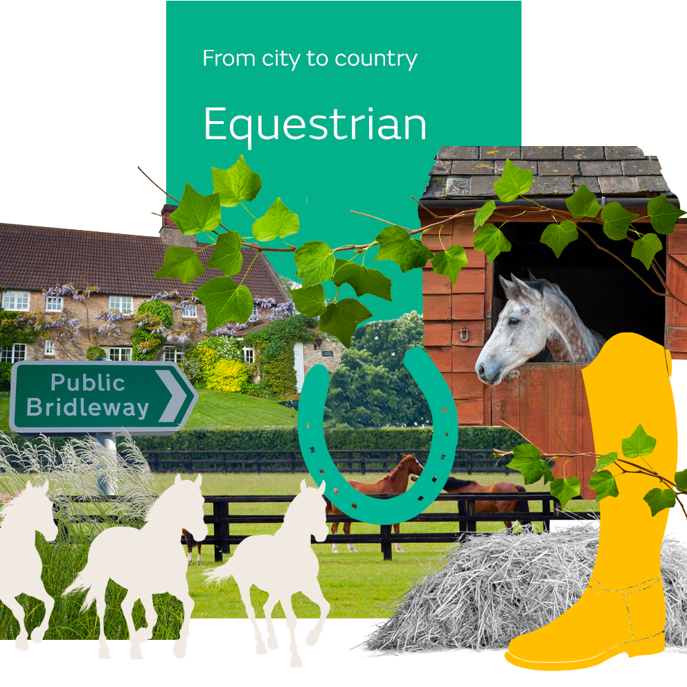 Collection of mages representing equestrian