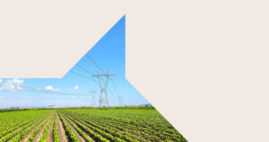 Crop field with pylon
