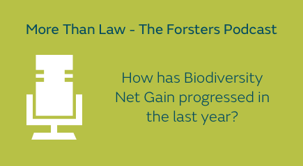 Call out for the 'How has Biodiversity Net Gain progressed in the last year?' podcast