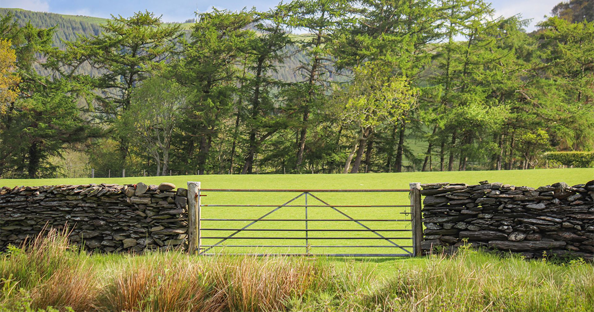 Rural land and business