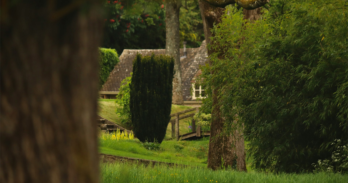 Rural land and business