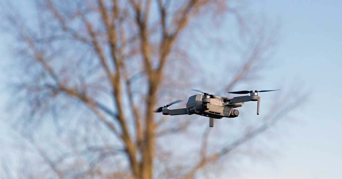 Drone flying in the sky past a tree